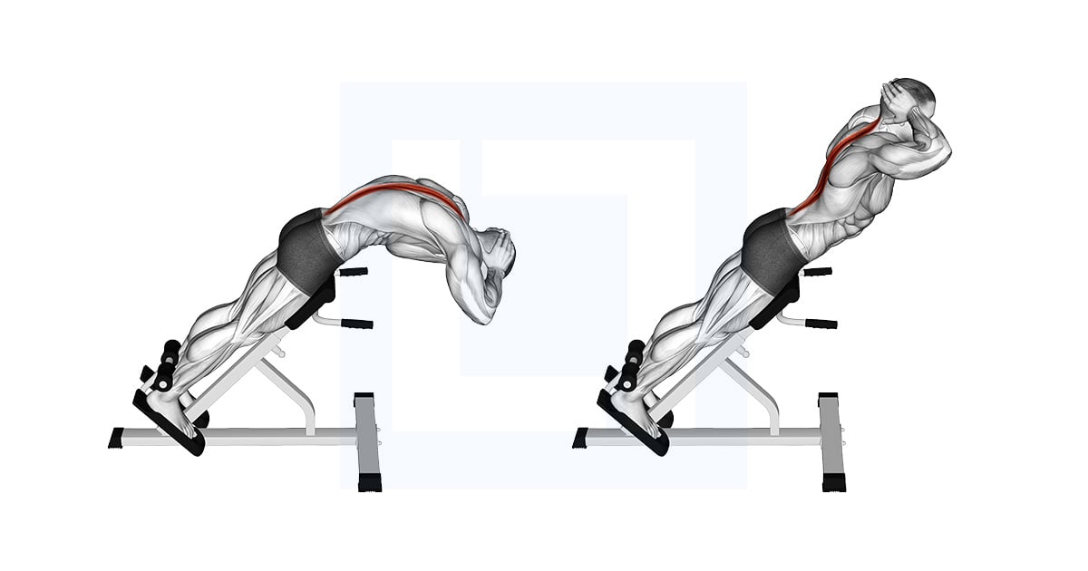 45 Degrees Back Extension