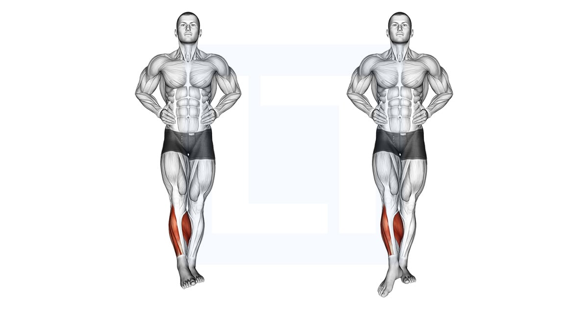 Ankle Circles