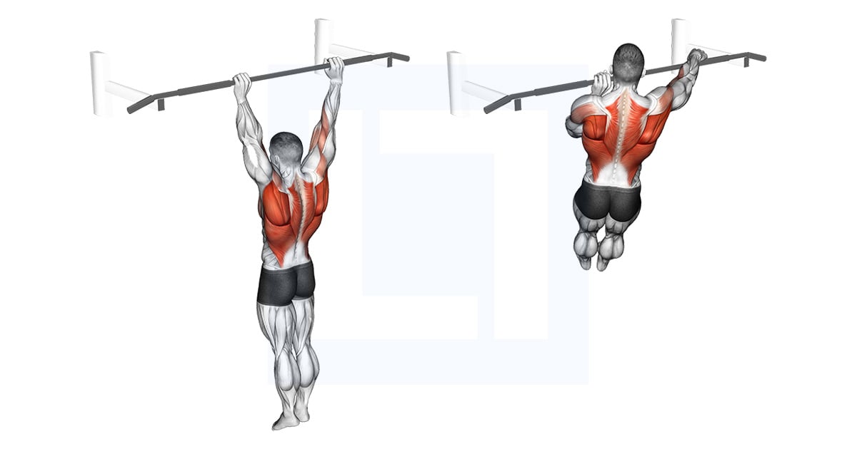 Archer Pull-up