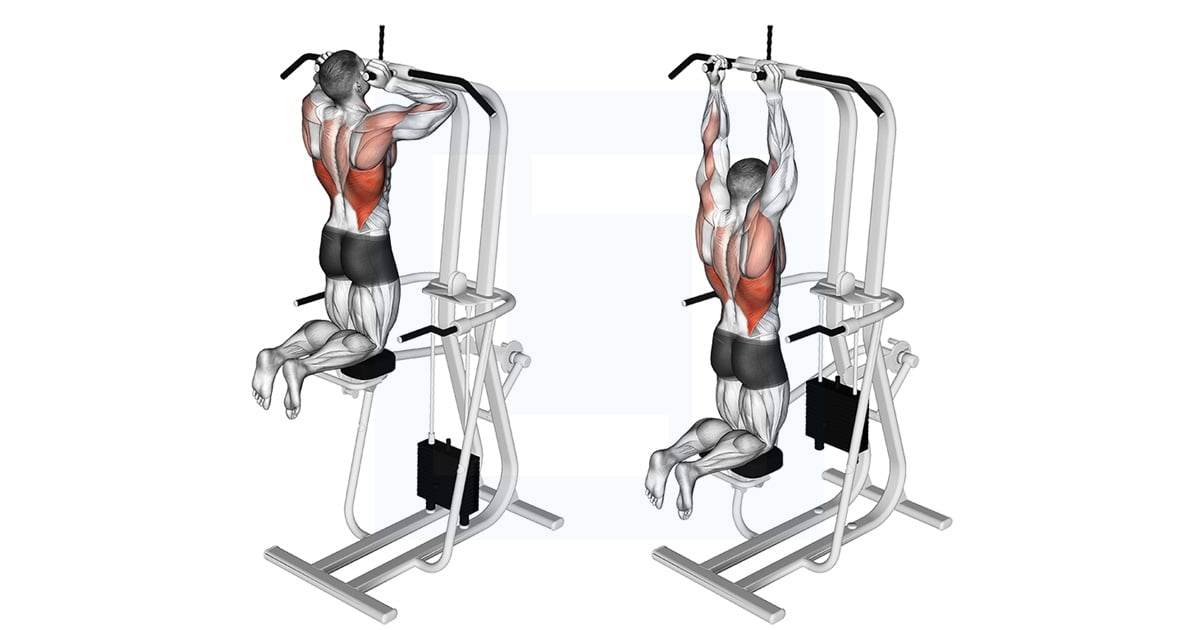 Assisted Parallel Close Grip Pull Up