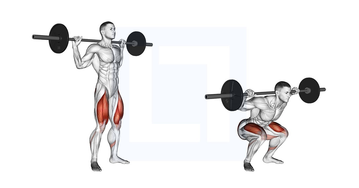 Back  Squat à la barre