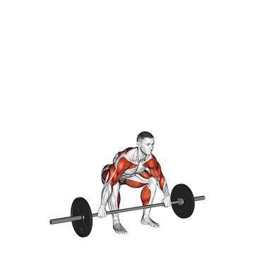 Arraché à la  barre
