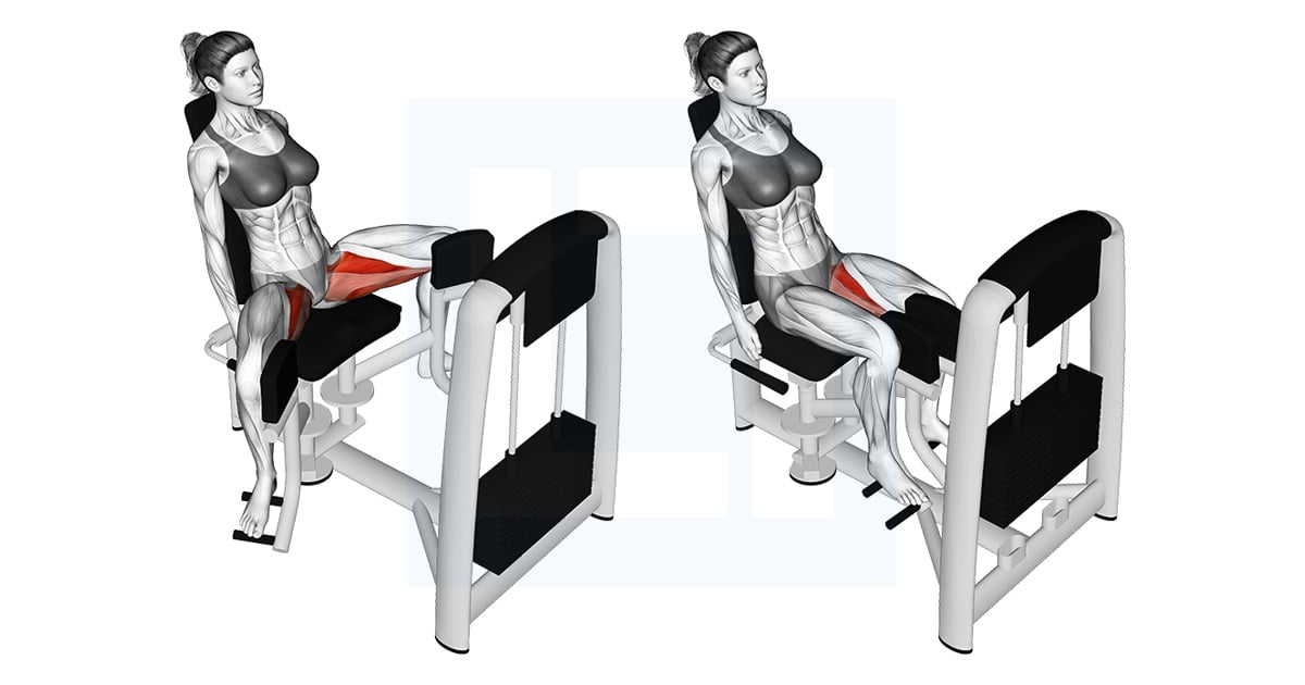 Adduction De La Hanche Assis